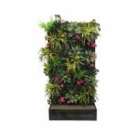 Read Evergreen Direct Reviews